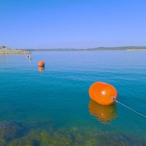 Meet your Posher, Feleta